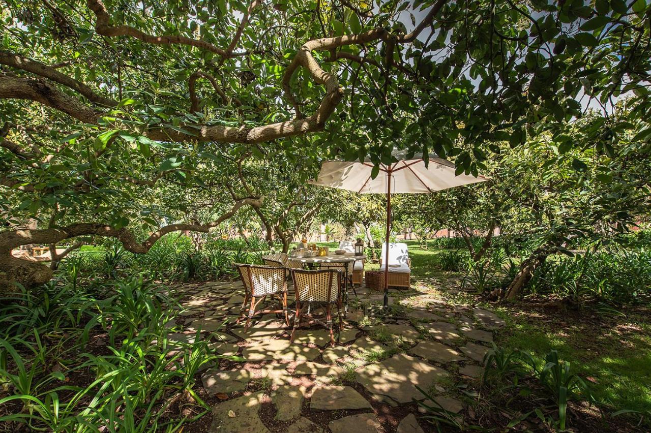 Homeforguest Rural House With Garden El Laurel Tacoronte Exterior photo