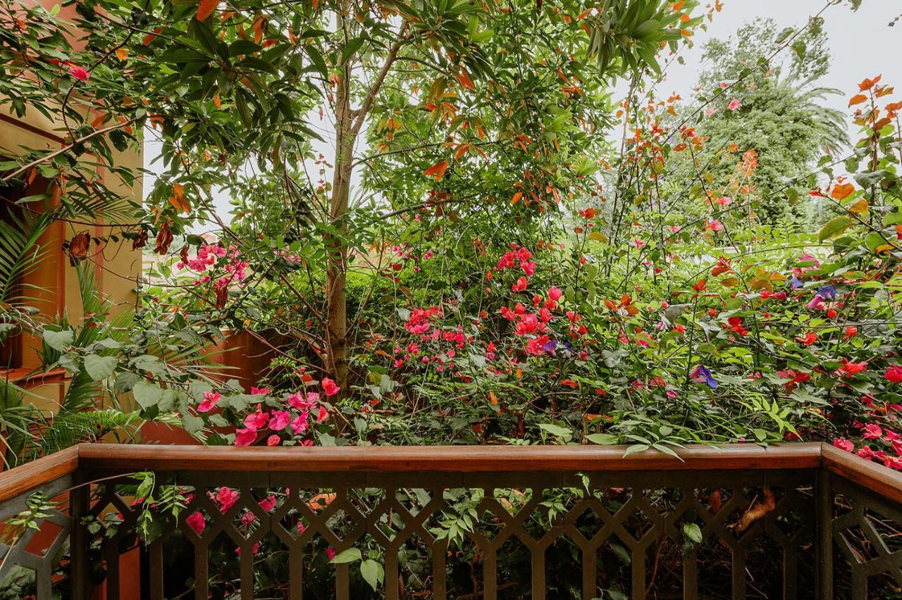 Homeforguest Rural House With Garden El Laurel Tacoronte Exterior photo