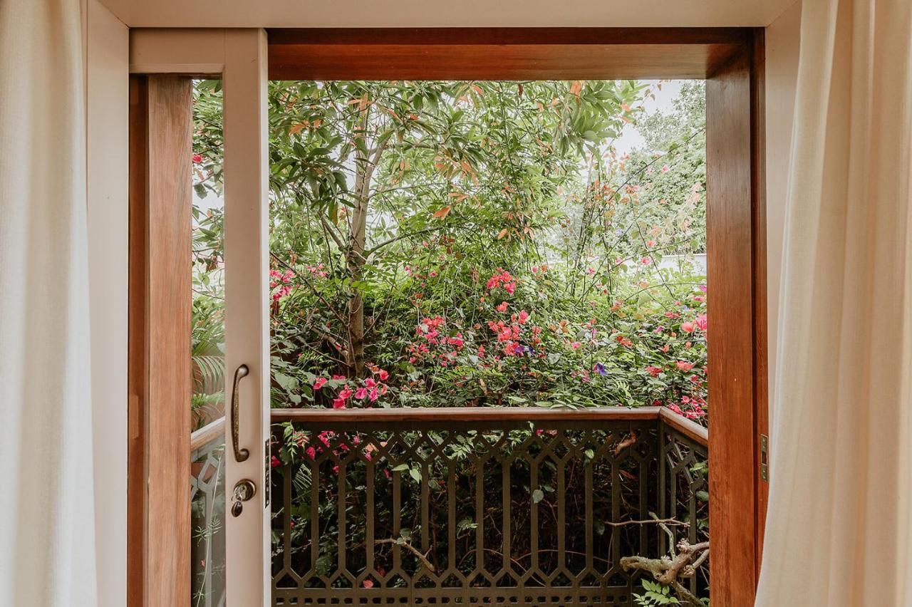 Homeforguest Rural House With Garden El Laurel Tacoronte Exterior photo