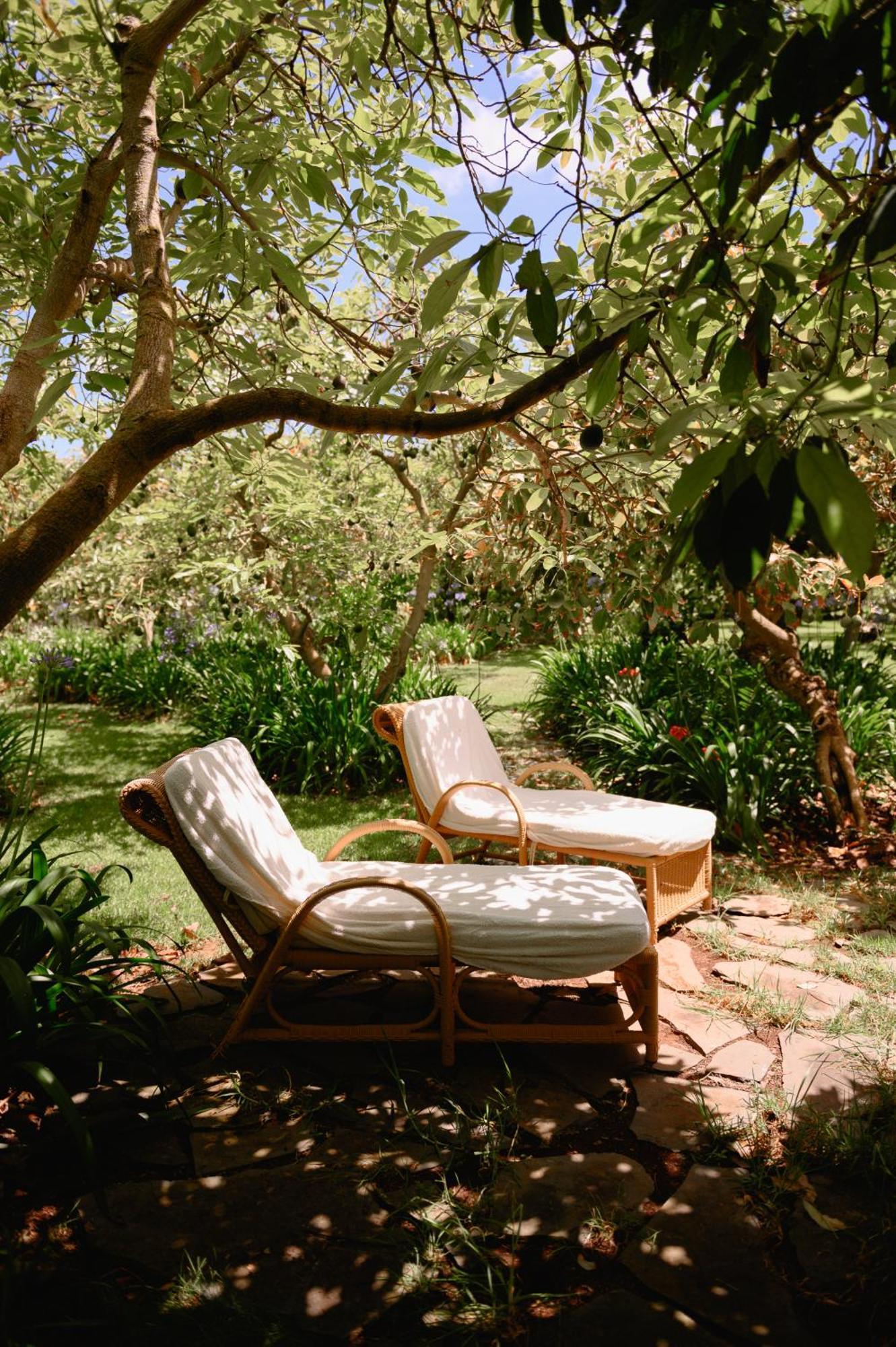 Homeforguest Rural House With Garden El Laurel Tacoronte Exterior photo